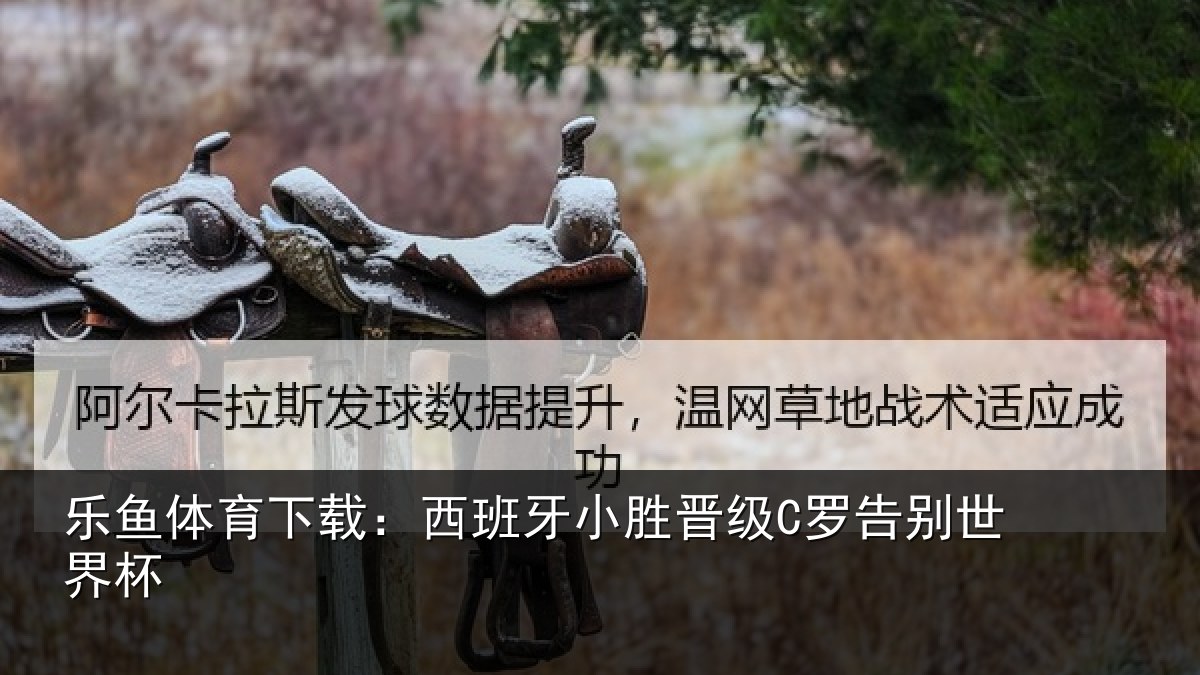 乐鱼体育下载：西班牙小胜晋级C罗告别世界杯